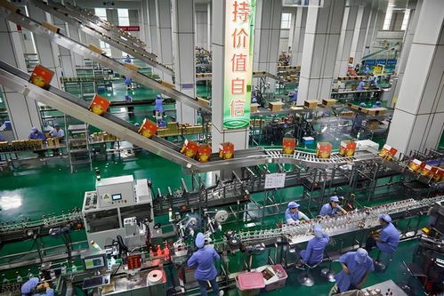 鄭州有娃哈哈工廠嗎