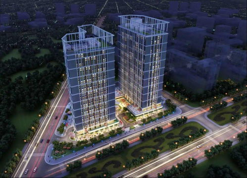 冠禮中原,向上鄭青春